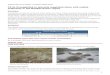 C3.5e Unvegetated or sparsely vegetated shore with mobile ... · 06.01.2016  · European Red List of Habitats - Freshwater Habitat Group C3.5e Unvegetated or sparsely vegetated shore