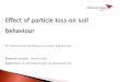Effect of particle loss on soil behaviour€¦ · Effect of particle loss on soil behaviour 6th ... strength changes that occur in a soil experiencing particle loss with special focus