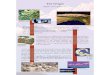 The Origin - Library of Tibetan Works and Archives · origin in the Tibetan legend, the modern Theory of Evolution is not too diﬀerent. As the supercontinent Gondwanaland broke