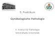 9. Praktikum Gyn£¤kologische Pathologie ... 2018/03/09 ¢  II. Institut f£¼r Pathologie Semmelweis Universit£¤t