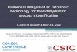 Numerical analysis of an ultrasonic technology for food …€¦ · Numerical analysis of an ultrasonic technology for food dehydration process intensification 1Grupo de Sistemas