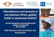 Microfinance and poverty in sub-Saharan Africa: golden ... · sub-Saharan Africa: golden bullet or poisoned chalice? 3ie-LIDC Symposium: Does microfinance lift people out of poverty?