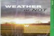 C O or NOT · & Nature Network. "Weather really does affect us. It affects our energy, and it can affect our mood." Weather or Not Scientists say it's not surprising that weather