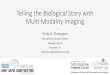 Telling the Biological Story with Multi-Modality Imagingamos3.aapm.org/abstracts/pdf/155-54065-1529640-162133.pdfTelling the Biological Story with Multi-Modality Imaging Emily A. Thompson