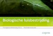 Biologische luisbestrijding...• Praon volucre CERTIS EUROPE Plantgezondheidsdag 2013 Voordelen •Gebruiksvriendelijk / gemak let op: nat worden voorkomen •Preventief inzetbaar