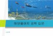 Flow assurance work process - Seoul National Universityocw.snu.ac.kr/sites/default/files/NOTE/10950.pdf · 2018. 1. 30. · Effects of currents –Pipelines & Risers • Vortex shedding