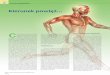 Kierunek powięź… - PTISptis.pl/wp/wp-content/uploads/2016/04/Praktyczna... · 2020. 9. 9. · 3. R. Schleip, Muller D.G., Fascial Fitness, Fascia oriented training for bodywork