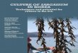 Culture of Sargassum in North Korea - arpa-e.energy.gov of... · 2016. 11. 30. · sargassum beds provide food, habitat, and nursery grounds for a wide array of marine organisms (Tsukidate