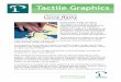 Tactile Graphics · would have a difficult time learning about the different regions of the world without the use of maps. A student who is blind needs tactile maps to gain this information