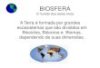 BIOSFERA - cssg.g12.br · BIOSFERA O mundo dos seres vivos A Terra é formada por grandes ecossistemas que são divididos em Biociclos, Biócoros e Biomas, dependendo de suas dimensões