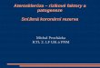 Ateroskleróza – rizikové faktory a patogenezetvl.lf2.cuni.cz/wordpress/wp-content/uploads/Ateroskleroza.pdf · Angina pectoris - anamnéza-spíše než ostrá bolest si pacient