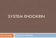 SYSTEM ENDOKRIN - vlm.ub.ac.idvlm.ub.ac.id/pluginfile.php/43491/mod_resource/content/1/PPT END… · DEFINISI ENDOKRINOLOGI ENDOKRINOLOGI berasal dari kata “Endokrin” dan “-logi”