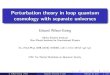 Perturbation theory in loop quantum cosmology with ... · The Mukhanov-Sasaki Equation The dynamics for scalar perturbations in general relativity (those mainly responsible for the