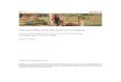 Climate Risks and Development Projects · Climate Risks and Development Projects Assessment Report for a Community-Level Project in Guidan Ider, Tahoua, Niger Marius Keller Bread
