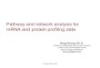 Pathway and network analysis for mRNA and protein profiling …€¦ · Pathway and network analysis for mRNA and protein profiling data VU workshop, 2016 Bing Zhang, Ph.D. Professor