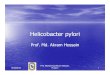 Prof. Md. Akram Hossain file/H. pylori by akram.pdf · X % Nonulcer dyspepsia ((5500% non ulcer dyspepsia patients% non ulcer dyspepsia patients)) Malt lymphoma Coronary Artery Disease