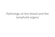 Pathology ot the blood and the lymphoid organsustavpatologie.upol.cz/_data/section-1/225.pdf · Anemia •Total reduction of the circulating erythrocyte mass (decreased hemoglobin,