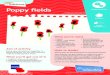 Poppy fields Remembrance 60 mins Jump straight in · Poppy fields Aim of activity Every year, people join together in Remembrance. Try out this colourful craft to understand it more