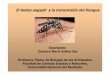ElAedesaegypti ylatransmisióndelDengue - UNNEexa.unne.edu.ar/biologia/artropodos/El Aedes aegypti y la... · 2020. 6. 10. · Los leucocitos pueden disminuir hasta 2000 por mm3 y