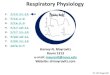 Respiratory Physiologyclinsoft.org/drmayrovitz/PHYSIOLOGY/RESPIRATION/COM...2 x P ATM = 0.21 x 760 = 159.6 →160 mmHg Q T = Volume/breath x Respiratory Rate Q T = Tidal volume x RR