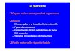 Leplacenta - Accueil 2020 - Collège de France · –Après#lanaissance,#le#taux#augmente#et#est#stable# ... Parvovirus#B19–Pouvoir#pathogène Contamination respiratoire Migra:on#vers#les