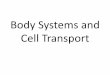 Body Systems and Cell Transport - Sintich Sciencesintichscience.weebly.com/uploads/2/2/4/7/22479874/ch44_urinary… · •Excretion = process that rids the body of nitrogenous metabolites