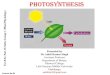 Photosynthesis - marwaricollege.ac.in · “Photosynthesis is a photo-biochemical process (anabolic & endergonic) in which organic compound (carbohydrates) are synthesized from the