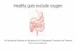 Healthy guts exclude oxygen - Virology Education B.V.regist2.virology-education.com/presentations/2018/4Micro... · 2018. 10. 25. · Krogius-Kurikka et al. 2009 Carroll et al., 2012