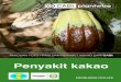 Penyakit kakao - Plantwise · kesehatan tanaman lainnya dalam mendiagnosis hama, penyakit, dan masalah abiotik kakao yang paling umum ditemui di seluruh dunia. Gejala yang ditampilkan