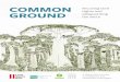 COMMON Securing land GROUND safeguarding the earth...March 2016 Securing land rights and safeguarding the earth A Global Call to Action on Indigenous and Community Land Rights COMMON