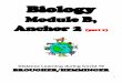 Module B, Anchor 2...• DNA is a polymer made from building blocks called nucleotides strung together. • Each nucleotide consists of a phosphate group, a 5-carbon sugar and a nitrogenous
