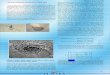 Volume -6, Issue-1, Jan 2016 Tectonic features on the lunar south …rajiv/planexnews/newarticles/Volume -6, Issu… · Here blue (B) in (7) indicates single-bounce (Bragg) backscattering,