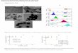 Figure S1. Citrate-coated AuNP used in this study. (A) TEM ... · Heating capacity of RAW264.7 cells after 24 h of incubation with 10 μg/ml AuNP and upon irradiation with a 680 nm-