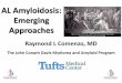 AL Amyloidosis: Emerging Approaches · AL Amyloidosis: Emerging Approaches Raymond L Comenzo, MD The John Conant Davis Myeloma and Amyloid Program. Open Questions & Emerging Approaches
