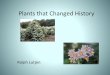 Plants that Changed History - Mountain Garden Clubmountaingardenclub.org/horticulture/Plants that Changed History.pdf · Potato • Cultivation of potatoes in South America goes back