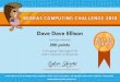 Dave Dave Ellison - WordPress.com · Dave Dave Ellison has been awarded 200 points in the group Castor (age 8-10) (with a maximum of 200 points)
