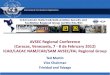 International Civil Aviation Organization · 2013. 7. 11. · International Civil Aviation Organization. Way Points for the AVSEC / FAL Regional Group ... ECCAA, IATA, IDB, IFALPA,