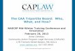 The CAA Tripartite Board: Who, What, and How?niqca.org/documents/CAPLAW-CAABoardTrg.pdf · 2019. 10. 24. · Role of CAA Board •Federal CSBG Act (42 U.S.C. § 9910) –Tripartite