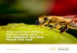 The extraordinary honey bee and its impact on the food we eat...2020/10/20  · honey bee pollination. Honey bees are vital to filling our bellies and to the Australian economy. With