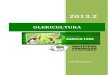 OLERICULTURA - bibliotecaagptea.org.br · Controle: pulverização preventiva com produtos químicos a base de metomil (Lannate), triclorfom (Dipterex). - Moscas-das-Frutas: Moscas