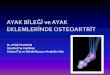 Dr. AYŞE YALIMAN İstanbul Tıp Fakültesi Fiziksel Tıp ve ...Joseph RM.Osteoarthritis of the ankle: bridging concepts in basic science with clinical care.Clin PodiatrMed Surg. 2009