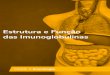 Estrutura e Funções da Imunoglobulinas · 2020. 8. 31. · • Classes de Anticorpos As moléculas de anticorpo podem ser classificadas a partir das diferenças presentes na estrutura