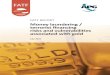 FATF REPORT Money laundering / terrorist financing risks ... Individuals who have a need to launder