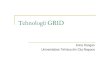 Tehnologii GRID - users.utcluj.rousers.utcluj.ro/~sebestyen/gridtraining/Tehnologii Grid.pdf · Manipularea datelor (ex: tabele, colectii, elemente) prin intermediul serviciilor web