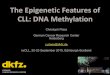 The Epigenetic Features of CLL: DNA Methylation · IgD(low) CD27-CD23-Rhodamine+ Conventional IgM+ Memory cells (ncsMBC) CD19+ IgM+ IgD+ CD27+ Memory B cells (csMBC) CD19+ IgA+/IgG+