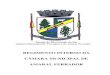 Câmara de Vereadores de Amaral - REGIMENTO INTERNO DA CÂMARA MUNICIPAL DE … · 2020. 7. 3. · CÂMARA MUNICIPAL DE AMARAL FERRADOR O Presidente da Câmara Municipal de Amaral