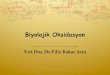 Biyolojik Oksidasyon - Ankara Üniversitesi...ò Sitokrom c, iç membranın dış yüzeyinde yer alır, suda çözünen tek sitokromdur, mitokondriden kolayca ayrılabilir ò Diğer