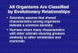 All Organisms Are Classified by Evolutionary Relationshipscharacteristics among organisms indicate a common ancestry ... A testable hypothesis that provides an explanation about the