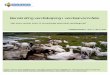 Berekraftig verdiskaping i verdsarvområdeorgprints.org/36300/1/NORSØK RAPPORT 8 2018 Berkraftig... · 2019. 8. 7. · biodiversity, open hiking areas with high recreational values