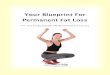 Your Blueprint For Permanent Fat Loss PDF EBook